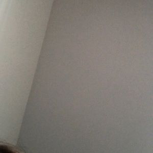 Meet your Posher, Rylee